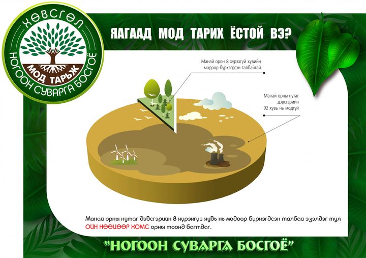 Яагаад мод тарих ёстой вэ?