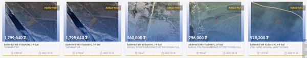 ГАЗАР ЭЗЭМШҮҮЛЭХ ЭРХИЙН ЦАХИМ ДУУДЛАГА ХУДАЛДААНД ОРОЛЦОХЫГ УРЬЖ БАЙНА.